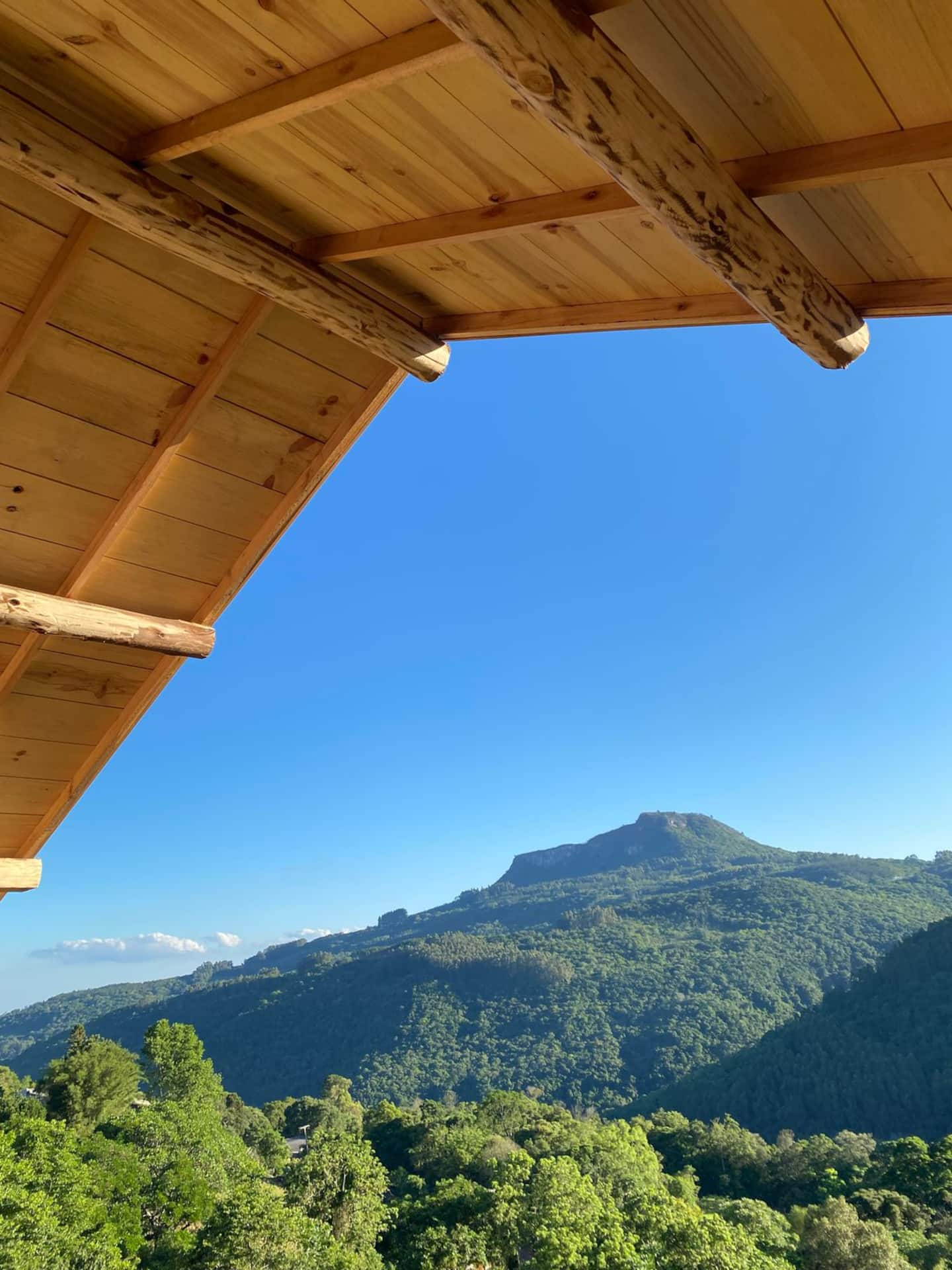 Montanhas cobertas de mata sob o céu azul
