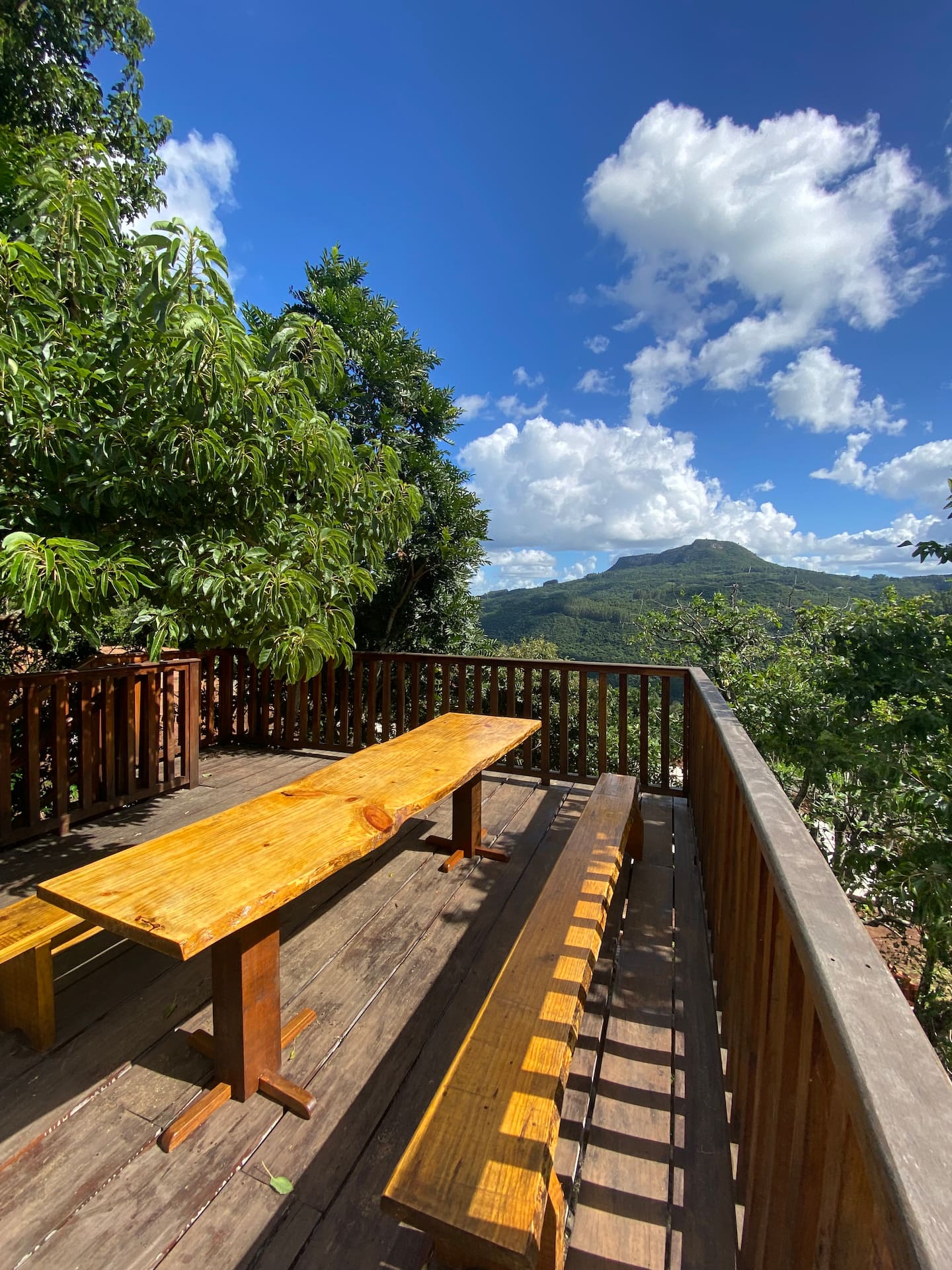 Deck de madeira com mesa longa sob as árvores
